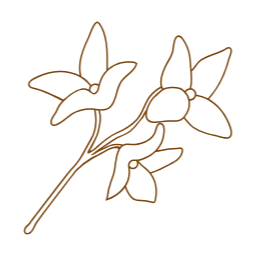 개나리, 개나리꽃, 봄꽃, 봄, spring, forsythia, 꽃, flower, 봄에피는꽃, 식물