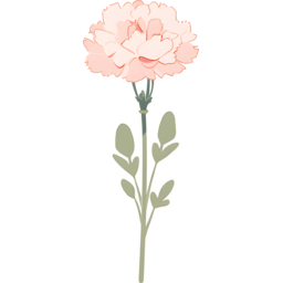 카네이션, 스승의날, 선생님, 스승님, 어버이날, 부모님, 카네이션그림, 꽃, 가정의, 달, 스승의, 날, 선물, 꽃다발, 학생, 편지, 감사, 5월, 감사합니다, 카네이션일러스트, 성년, 장미, 성년의날, 요소, 20살, 어른, 성인, 연례행사