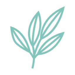 여름, summer, 여름나뭇잎, 나뭇잎, 자연, leaf, 이파리, 풀잎, 잎사귀