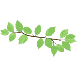나뭇가지, 잎, 그린, green, tree, 푸른잎, 푸른, 연두색, leaves