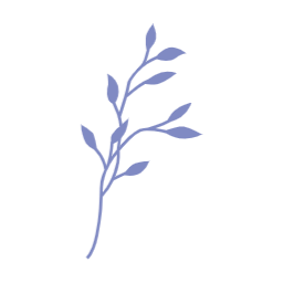여름, summer, 나뭇잎, 자연, leaf, 여름나뭇잎, 이파리, 풀잎, 잎사귀, 