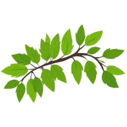 나뭇가지, 잎, 그린, green, tree, 푸른잎, 푸른, 연두색, leaves