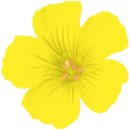 꽃, 봄, 축제, 봄축제, 여름축제, Flower