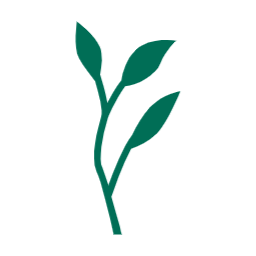 여름, summer, 나뭇잎, 자연, leaf, 여름나뭇잎, 이파리, 풀잎, 잎사귀, 