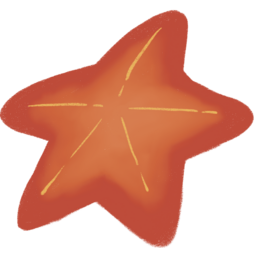 불가사리, 빨간불가사리, 바다, 바닷가, 해변, 조개, 해양생물, 모래사장, ocean, starfish