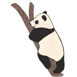 팬더, panda, 판다ㄷ, 동물, animal, 판다캐릭터, 대나무