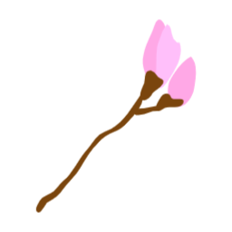 진달래, 봄꽃, 봄에피는꽃, 봄, spring, azalea, 철쭉, royalazale, blossom, 핑크꽃