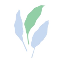 여름, summer, 나뭇잎, 자연, leaf, 여름나뭇잎, 이파리, 풀잎, 잎사귀, 
