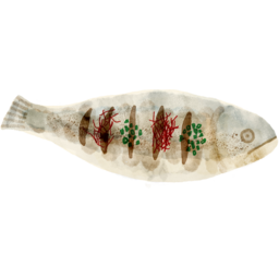 조기, 조기구이, 생선구이, 음식, 명절음식, 명절, 설, 추석, 전통, 전통문화, 생선, 수산물, 해산물, 설날, 요리, 한식, 한국음식, 반찬, 식재료, food, cook