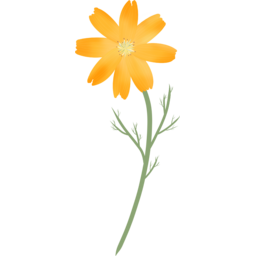 flower, 코스모스, 가을꽃, 꽃, 꽃한송이