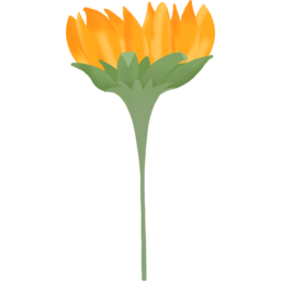 flower, 코스모스, 가을꽃, 꽃, 꽃한송이