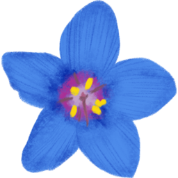 꽃, 봄, 축제, 봄축제, 여름축제, Flower