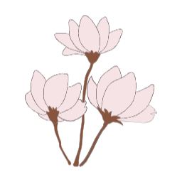 목련, magnolia, 꽃, flower, 봄, 봄꽃, spring, 봄에피는꽃, 식물, 목련화