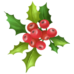 크리스마스열매, 크리스마스, 홀리, 홀리열매, 크리스마스장식, christmas, holy, 메리크리스마스