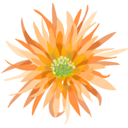 실거베라, 거베라, 꽃, flower