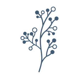 겨울, winter, 나뭇잎, 자연, leaf, 겨울나뭇잎, 이파리, 풀잎, 잎사귀, 겨울열매, 