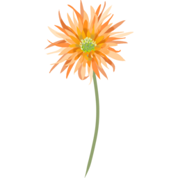 실거베라, 거베라, 꽃, flower, 꽃한송이