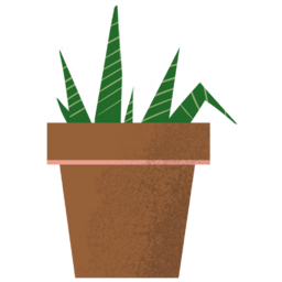 알로에, 식물, 화분, 나무, 풀, tree, plant, 재배, 식목일, 데코, deco, green, 잡초