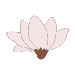 목련, magnolia, 꽃, flower, 봄, 봄꽃, spring, 봄에피는꽃, 식물, 목련화