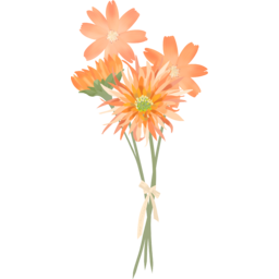 실거베라, 거베라, 꽃, flower, 꽃다발