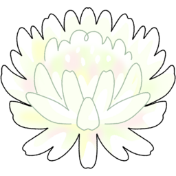 토끼풀, 클로버, 풀, 꽃, 잡초, 흰색, 아이보리, 봄