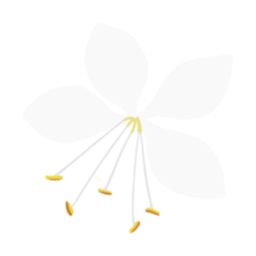 손그림, 꾸밈요소, 자연, 꽃, 벚꽃, 일러요소