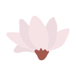 목련, magnolia, 꽃, flower, 봄, 봄꽃, spring, 봄에피는꽃, 식물, 목련화