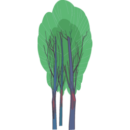 숲, 자연, 여름숲, 수풀, 나무, 초여름, forest, 녹지, 산림, 깊은숲