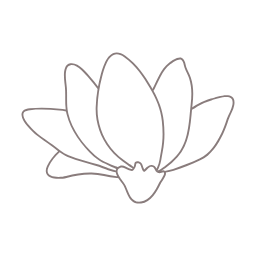 목련, magnolia, 꽃, flower, 봄, 봄꽃, spring, 봄에피는꽃, 식물, 목련화
