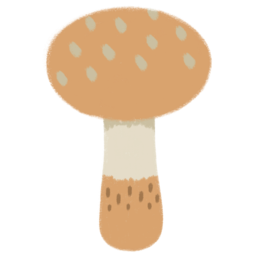 버섯, 식물, mushroom, plant
