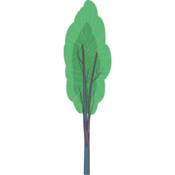 자연, 나무, 숲, 깊은숲, 여름, 초여름, 산림, 녹지, forest