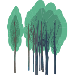 forest, 자연, 나무, 숲, 깊은숲, 녹지, 산림, 여름, 초여름