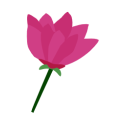 꽃, 식물, 꽃잎, 장미, 백합, 연못백합, 연꽃, 한송이