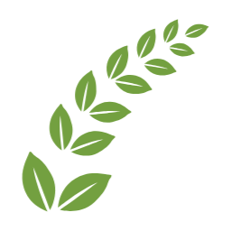 월계잎, 잎, 장식, 타이틀장식, 데코, leaf, 데코레이션, 잎사귀, 자연, 나뭇잎