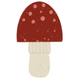 버섯, 식물, mushroom, plant