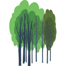 자연, 나무, 숲, 깊은숲, forest, 녹지, 산림, 여름, 초여름