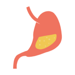 위, 위장, 신체, 소화기관, 소화, 소화불량, 몸, 건강, 위암, 위염, 위궤양, stomach, organ, 장기, 신체장기, 과학, 인체