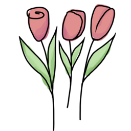튤립, 꽃, 봄