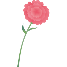 카네이션, 꽃, 식물, 어버이날, 스승의날, 가정의달, 5월, 꽃송이, 줄기, 아름다운, 핑크