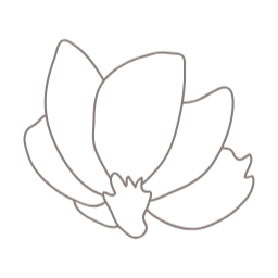 목련, magnolia, 꽃, flower, 봄, 봄꽃, spring, 봄에피는꽃, 식물, 목련화