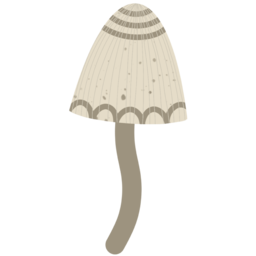 버섯, 식물, mushroom, plant