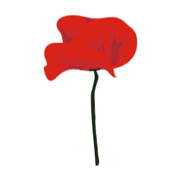 꽃, flower, 손그림, 식물, nature, plant, 핸드드로잉, 그림, 꽃다발, 정원, 플라워, 플라워샵, 감성드로잉, floral, 웨딩, 웨딩플라워, 꽃장식, 청첩장, 축하, 부케, 화려한, 일러스트, 양귀비, 양귀비꽃일러스트, 화려한꽃, 꽃일러스트, 화려한꽃일러스트, papaver