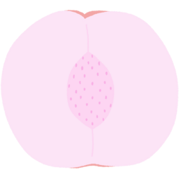 복숭아, 좌우대칭, 대칭, 과일, 단면, 씨, 깔끔한, 평면, 분홍색, 일러스트, 귀여운, 과일그림, 미니멀, 도형, 심플, 동글동글, 핑크톤, 밝은, 연한색, 수채느낌, 선없는, 스티커, 유아, 캐릭터, 창작, 팬시, 귀염귀염, 건강한, 자연, 여름과일, 달콤한, 부드러운, 디저트, 식감, 과즙, 통통한, 벡터, 아이콘, 파스텔톤, 사랑스러운, 그림, 포근한, 간식, 명랑한, 기분좋은, 일상, 상큼한, 베이비, 과일조각, 데코용, 깔끔디자인