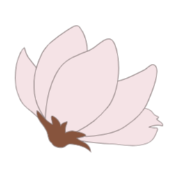 목련, magnolia, 꽃, flower, 봄, 봄꽃, spring, 봄에피는꽃, 식물, 목련화