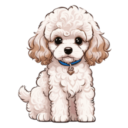 푸들, 푸들강아지, 푸들그림, 푸들강아지그림, a, poodle, dog, 강아지, 강아지그림, 귀여운강아지, 멍멍이, 댕댕이, 소형견
