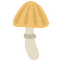 버섯, 식물, mushroom, plant