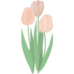 튤립, 튤립그림, 튤립이미지, 봄, 봄꽃, 예쁜꽃, 따뜻한, 화사한, 귀여운, 파스텔, 분홍꽃, 분홍