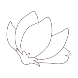 목련, magnolia, 꽃, flower, 봄, 봄꽃, spring, 봄에피는꽃, 식물, 목련화