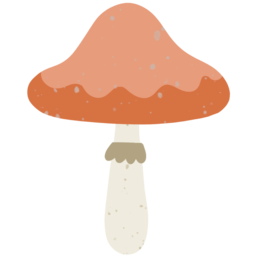 버섯, 식물, mushroom, plant