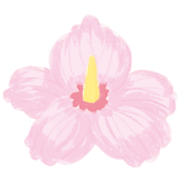 hibiscus, flower, korea, pink, nature, 무궁화, 꽃그림, 자연, 국화, 분홍꽃, 한국꽃, 식물일러스트, 꽃잎, 전통문양, 꽃패턴, 꽃소재, 봄꽃, 전통이미지, 식물소재, 꽃아이콘, 꽃스타일, 예쁜꽃, 꽃디자인, 가드닝, 일러스트플라워